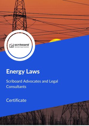 Certificate in Energy Laws
